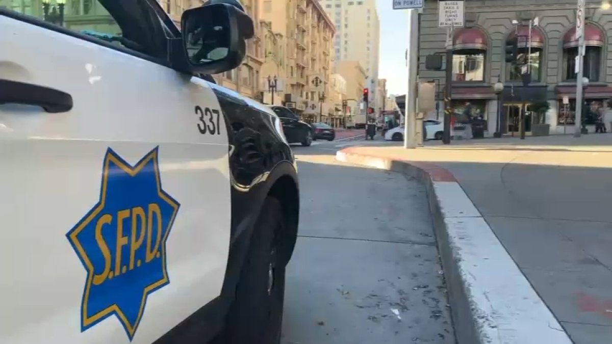 San Francisco police arrest man suspected in dog's death