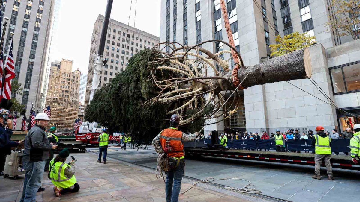 Rockefeller Center Christmas tree: What to know – NBC Bay Area - Vimarsana News