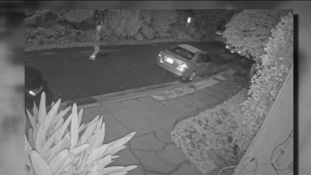 2 women mugged, car stolen hours later in Berkeley - Vimarsana News