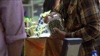 Banking for cannabis startups