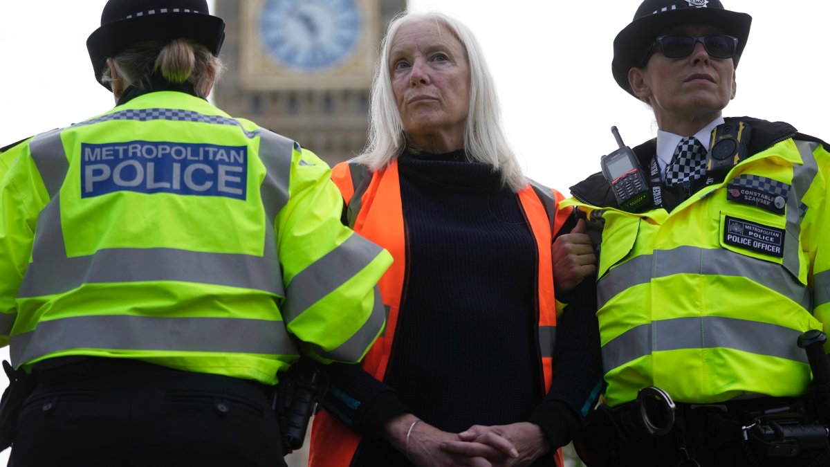 British law allows for the arrest of protesters in certain situations – NBC Bay Area - Vimarsana News