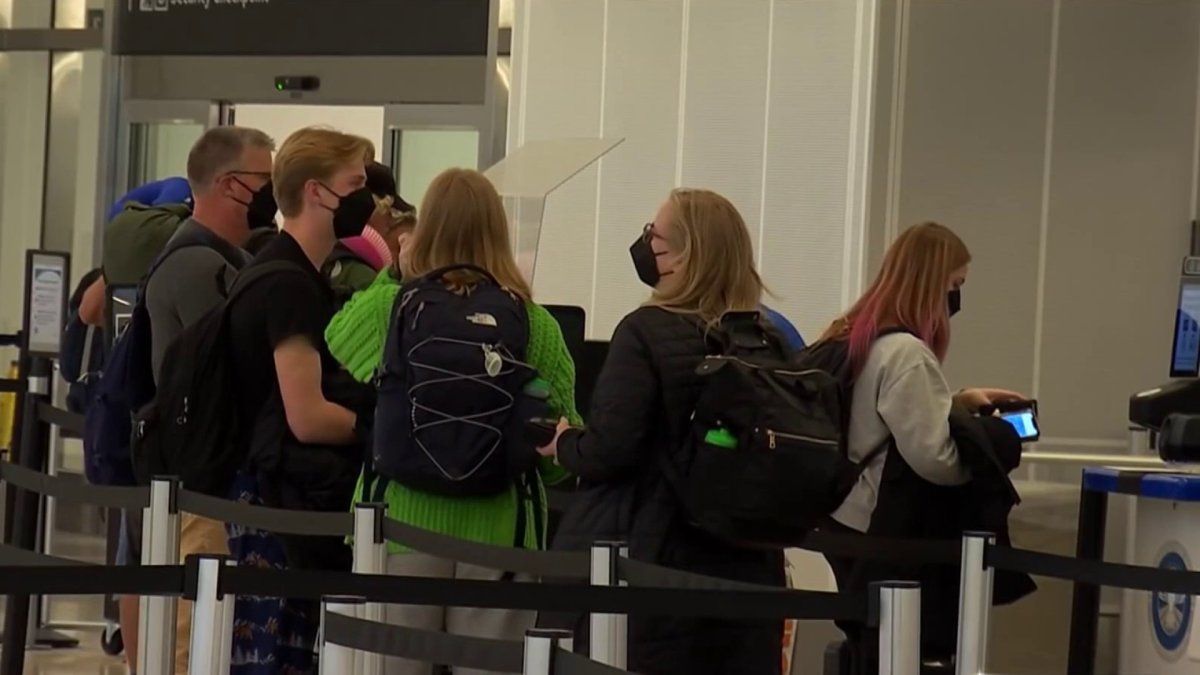 Holiday travel rush in full swing at Bay Area airports - Vimarsana News