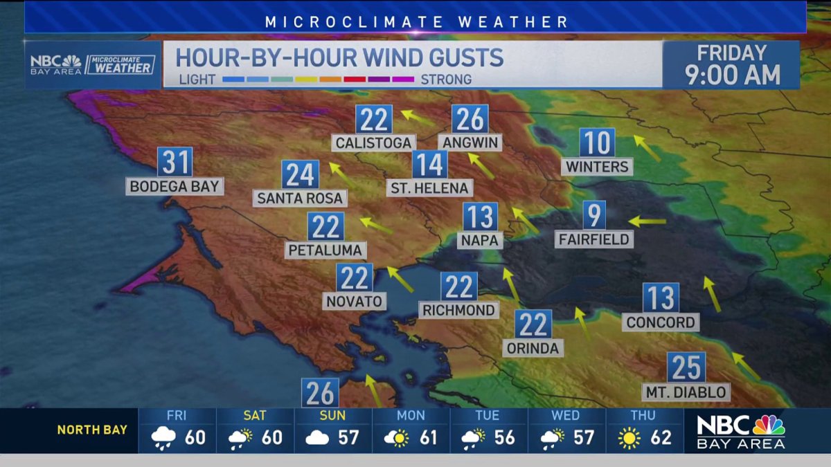 Gusty winds, rain forecast for Bay Area - Vimarsana News