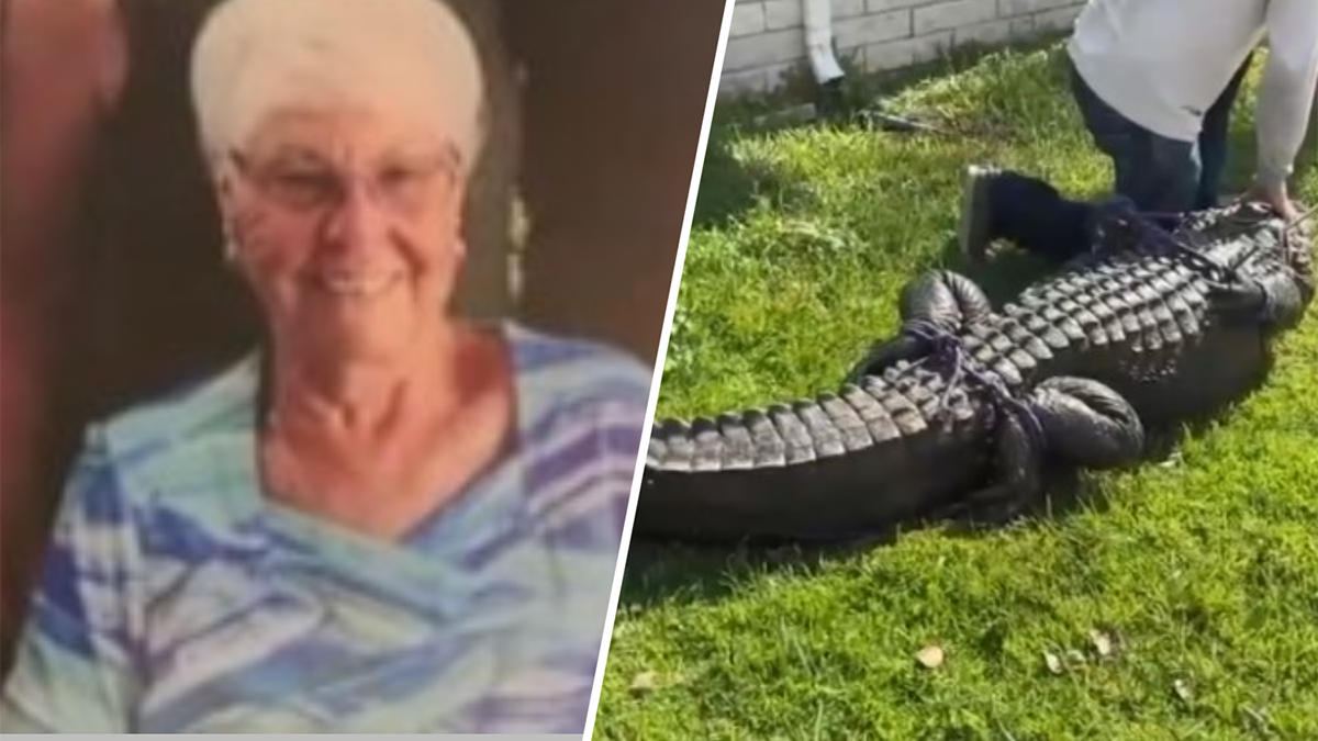 Suit filed a year after 85yearold Florida woman killed in alligator