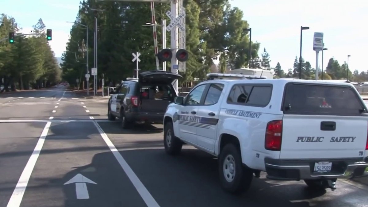 Man, dog killed in Rohnert Park crash NBC Bay Area