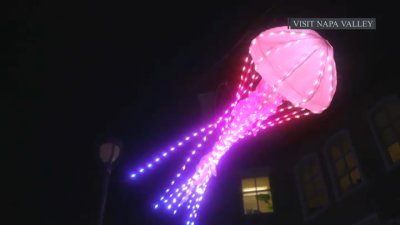 Napa Lighted Art Festival returns