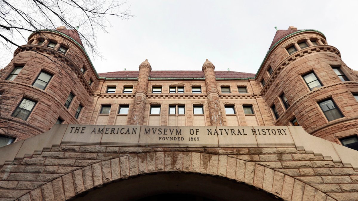 American Museum of Natural History in NYC closing two halls featuring Native American objects – NBC Bay Area - Vimarsana News