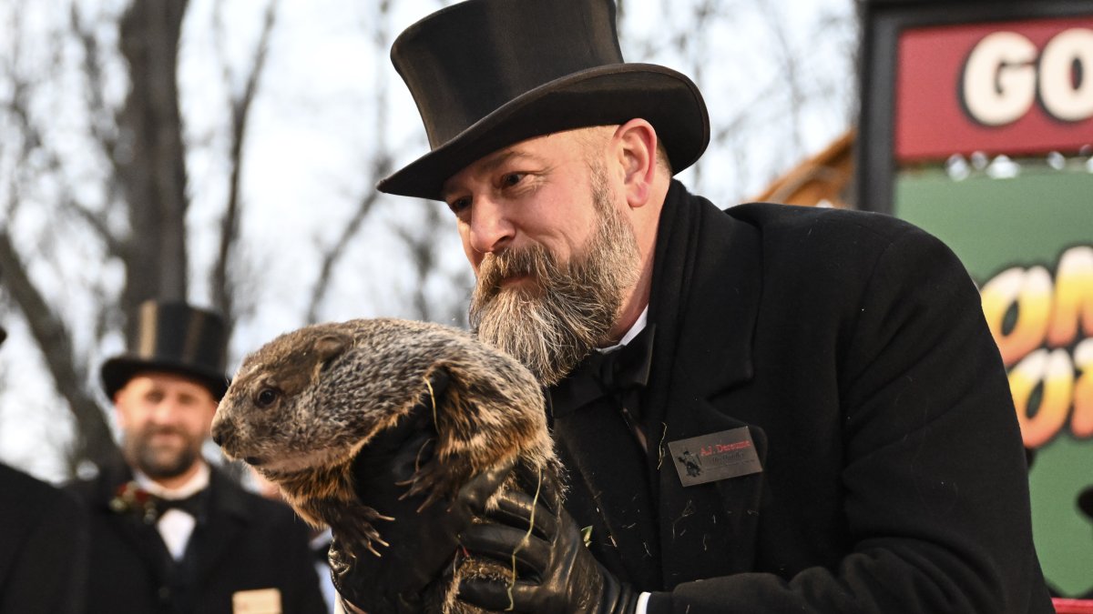 The origins of Groundhog Day, Pa.'s Punxsutawney Phil – NBC Bay Area - Vimarsana News