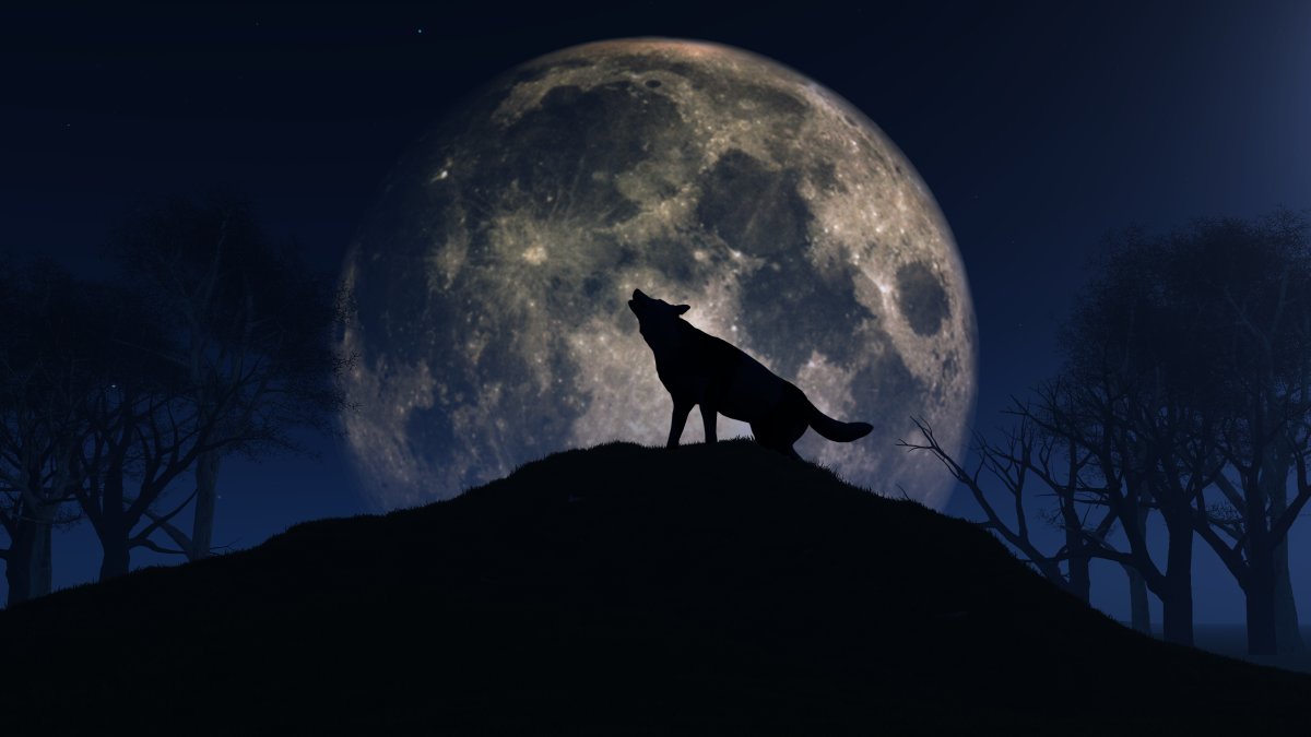 How to see the Full Wolf Moon on Thursday – NBC Bay Area - Vimarsana News