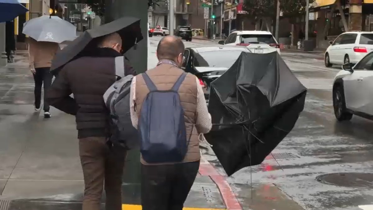 Bay Area storm: Heavy rain, gusty winds in the weather forecast – NBC ...