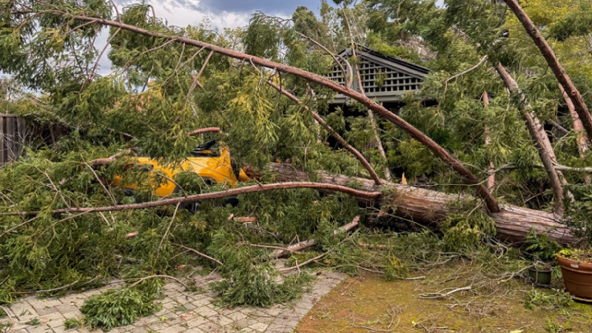 Updates on storm-related problems in the Bay Area – NBC Bay Area - Vimarsana News