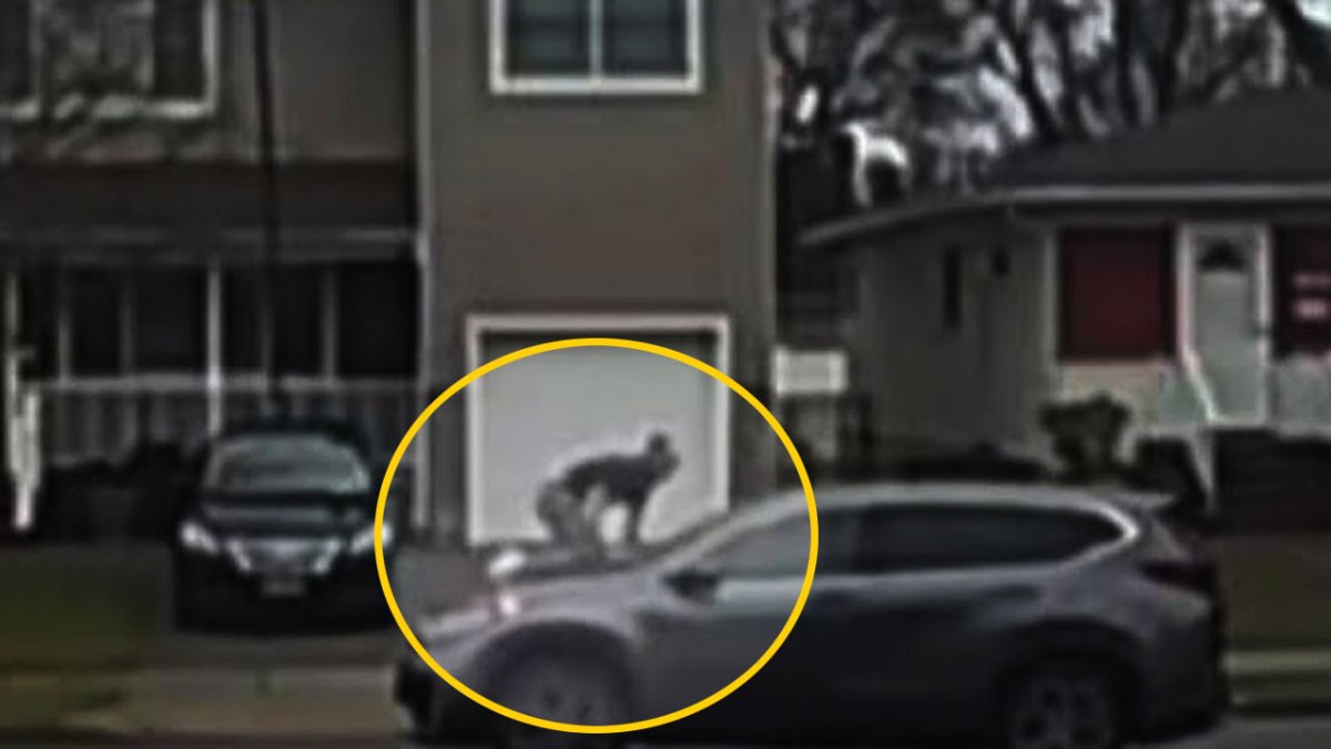 Massapequa man tries to stop watch thief after Long Island sale – NBC Bay Area - Vimarsana News