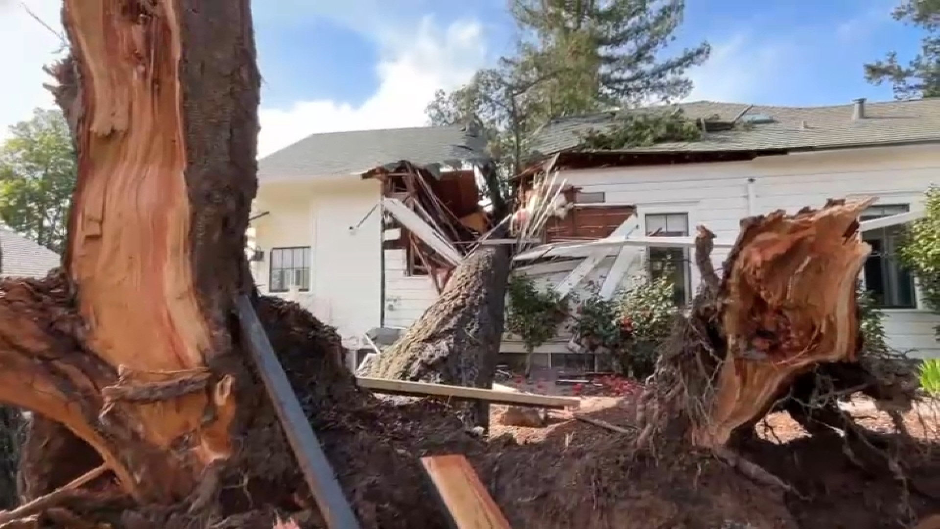 Widespread Wind Damage Across The North Bay – NBC Bay Area