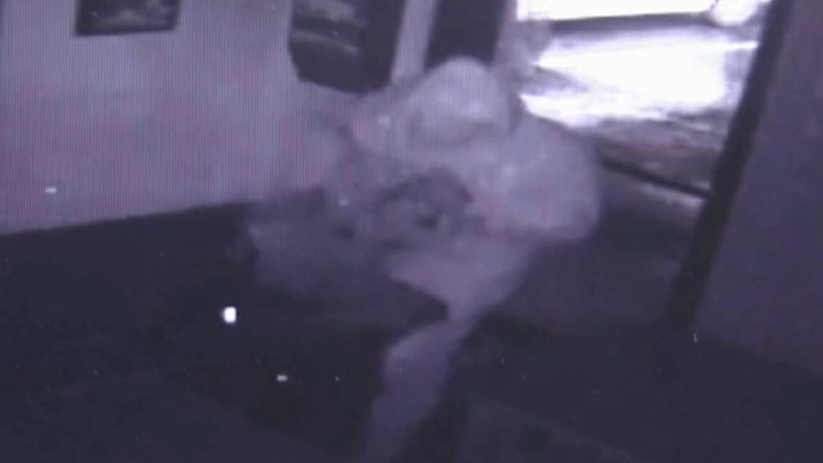San Jose martial arts studio owner, parents react after suspect steals items – NBC Bay Area - Vimarsana News