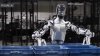 San Mateo County may require permit for businesses using humanoid robots