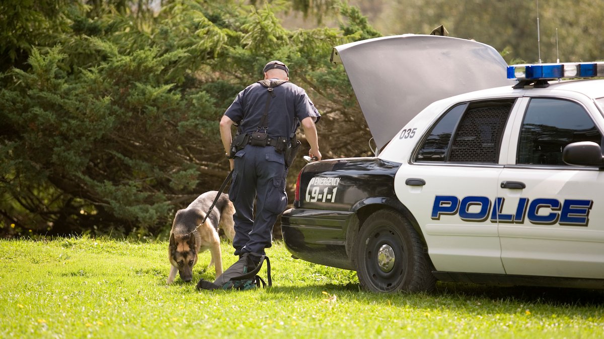 Kansas to increase penalties for harming police dogs – NBC Bay Area - Vimarsana News