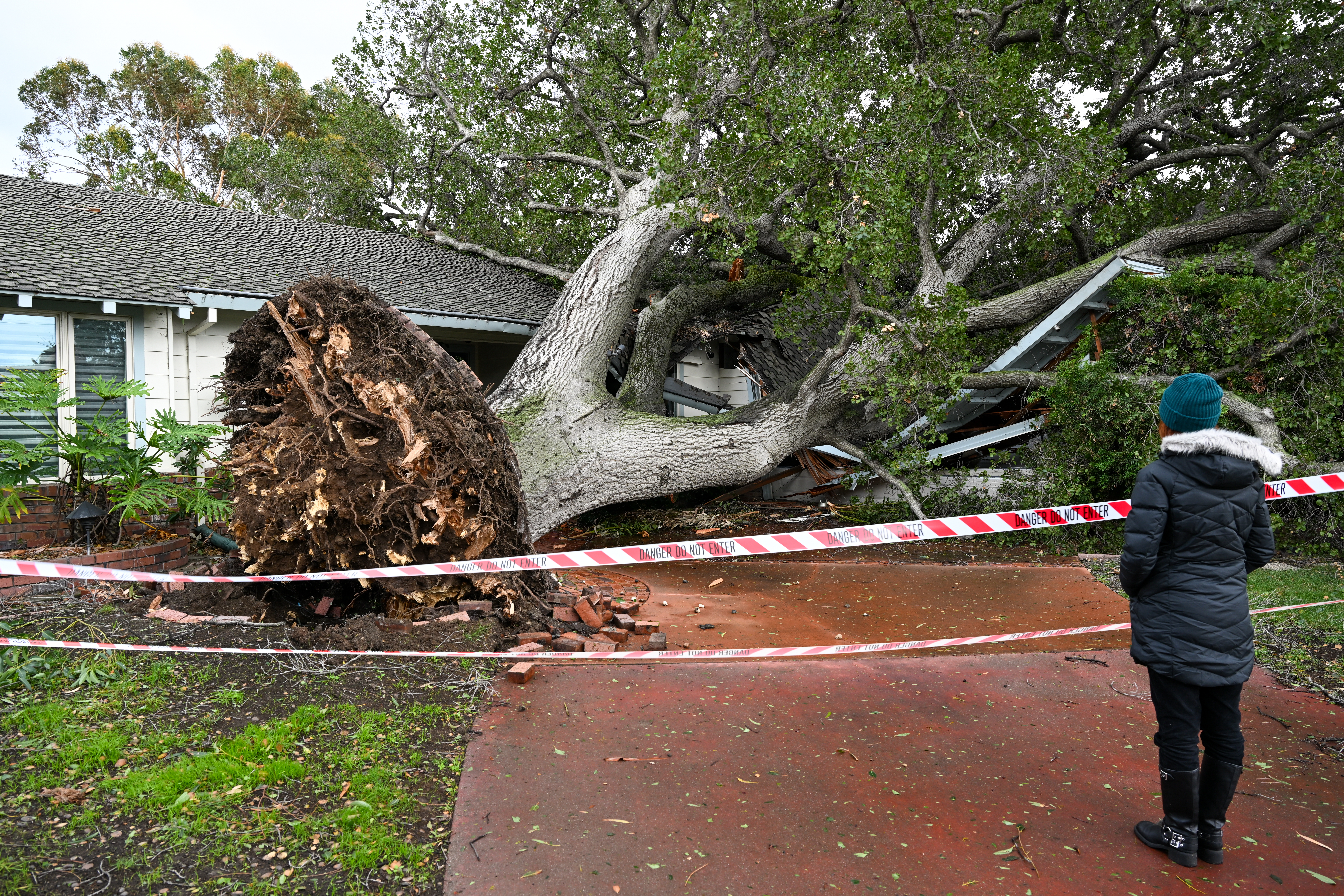 A view of the destruction caused by a giant tree, which has fallen on a house on El Grande Dr. in San Jose, on February 4, 2024.