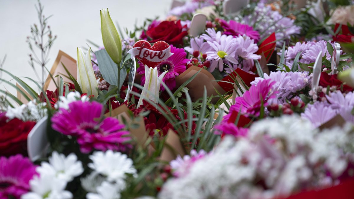 Charlotte mom gives flowers to 1,000 widows on Valentine's Day – NBC Bay Area - Vimarsana News