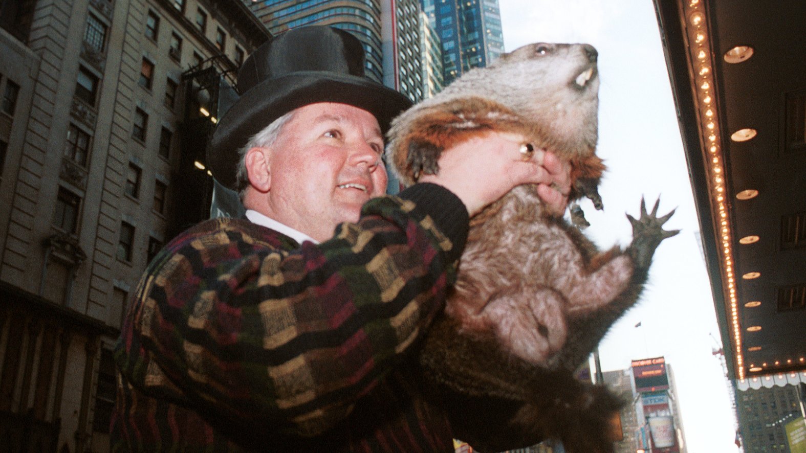 Why Do We Celebrate Groundhog Day NBC Bay Area why-do-we-celebrate-groundhog-day-nbc-bay-area