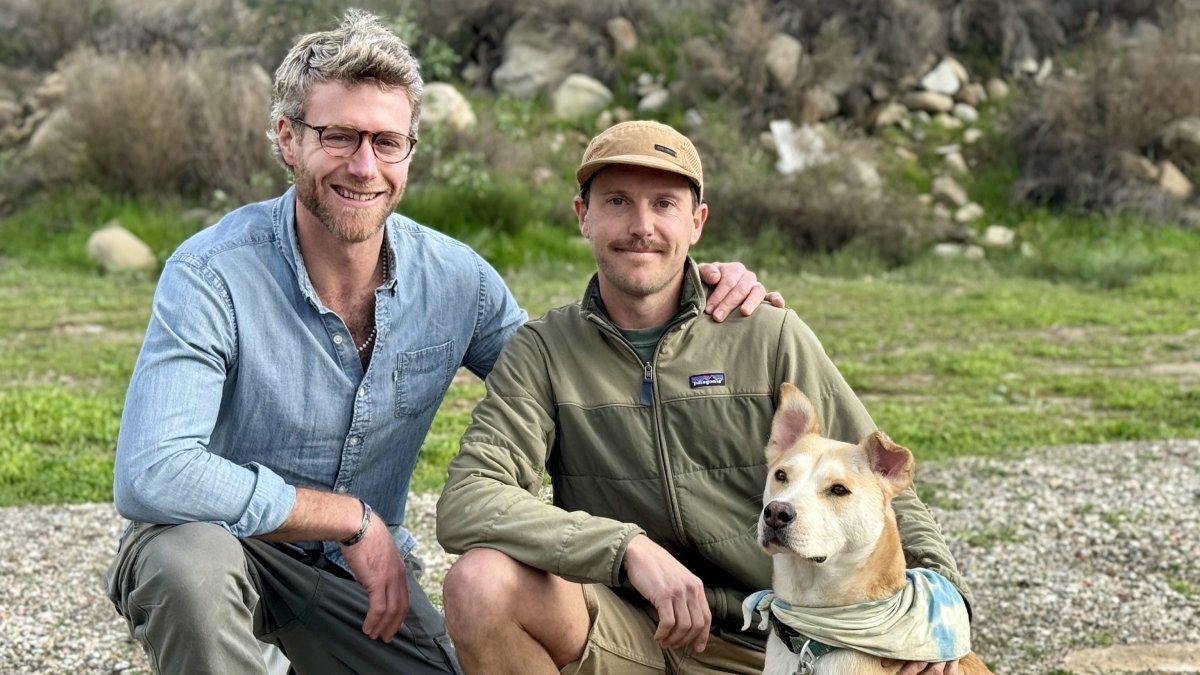 Runners save their dog from a mountain lion attack in So Cal – NBC Bay Area - Vimarsana News