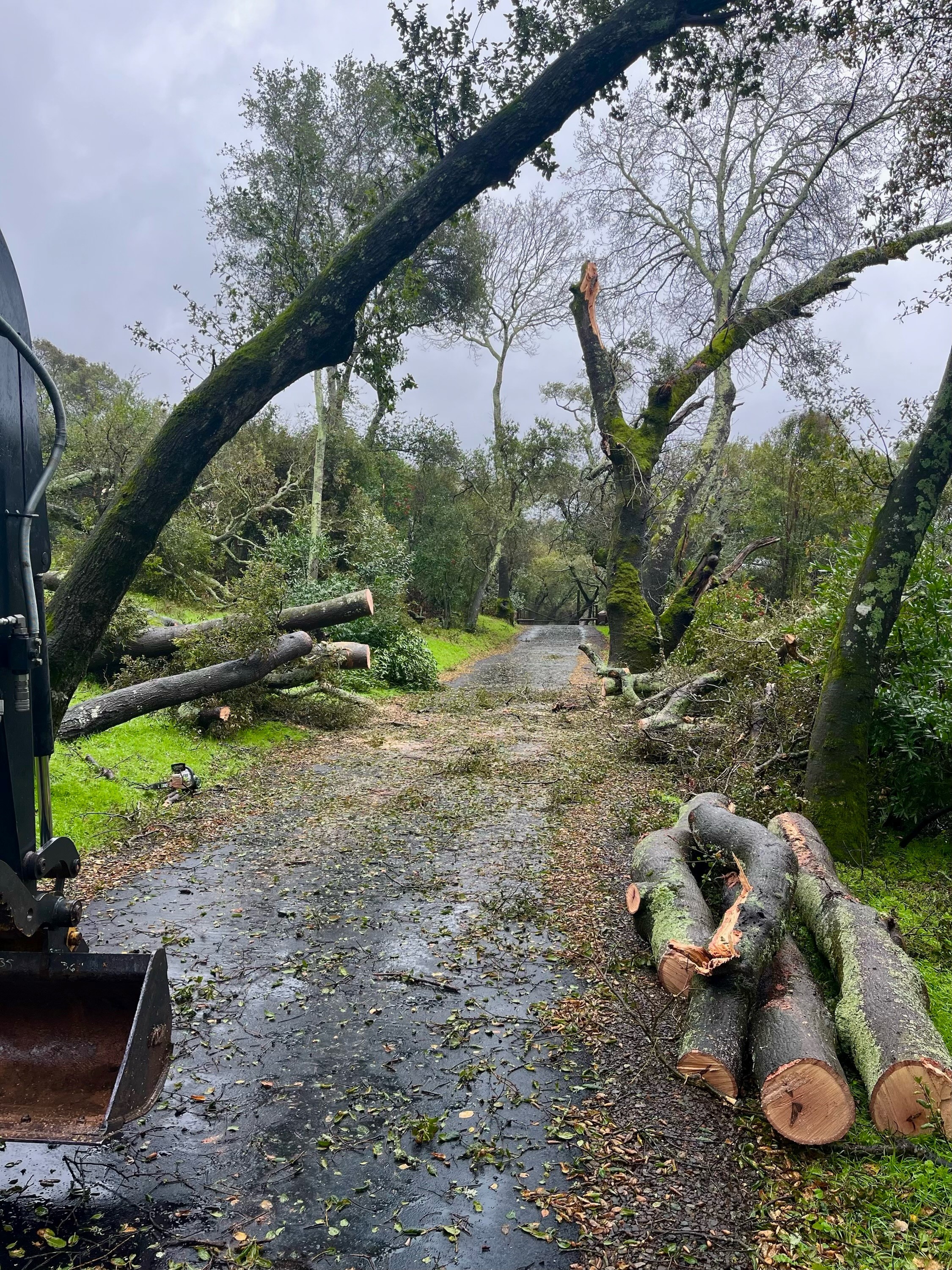 Updates on storm-related problems in the Bay Area – NBC Bay Area
