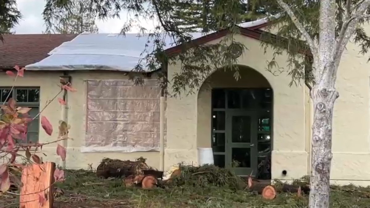 Bay Area storm cleanup continues – NBC Bay Area - Vimarsana News