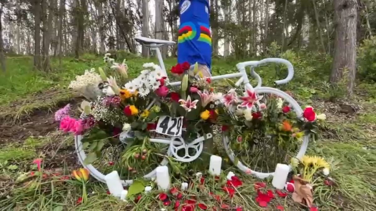 Driver accused of fatally striking champion cyclist in SF could get ...