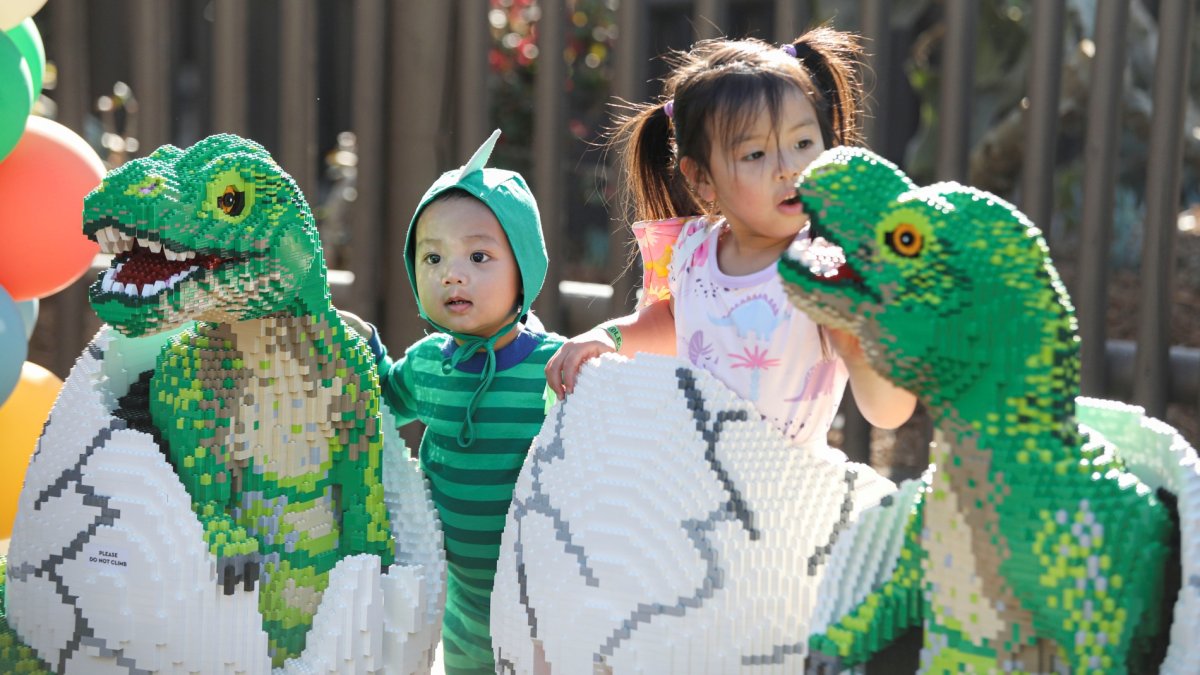 LEGOLAND's new 'Dino Valley' is filled with brick-built beasties and fresh adventures – NBC Bay Area - Vimarsana News