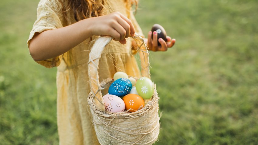 Cute little girl with bunny ears holding an easter egg basket and finding eggs in the grass on green lawn. Little girl wearing fluffy Bunny ears
gathering colorful egg in park in wicker basket.  Easter concept.