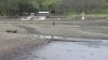 Vasona Reservoir in Los Gatos drained for repairs