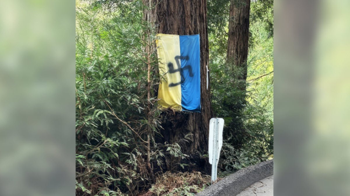 Vandal paints swastikas on Ukrainian flags in Mill Valley - Vimarsana News