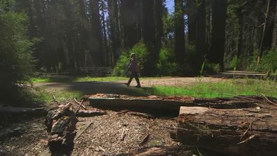 Park advocates want more green for California parks