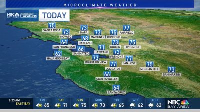 Vianey's forecast: Early fog then sunny and mild