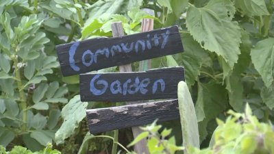 Valley Verde in San Jose offers community garden, sustainability tips