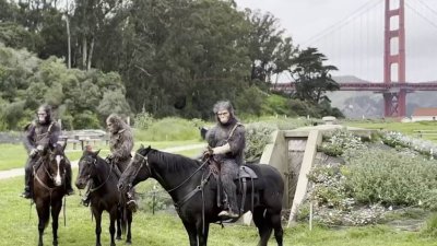 Apes riding horses spotted on San Francisco beach. Here's why