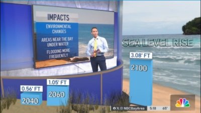 What sea level rise could look like by the year 2100