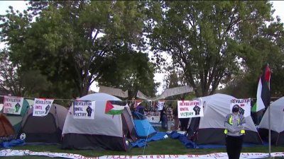 Pro-Palestine demonstrators continue to protest at Stanford
