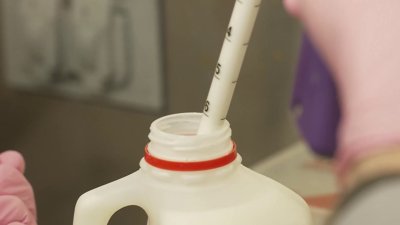 Bird flu virus found in one in five samples of pasteurized milk, FDA says