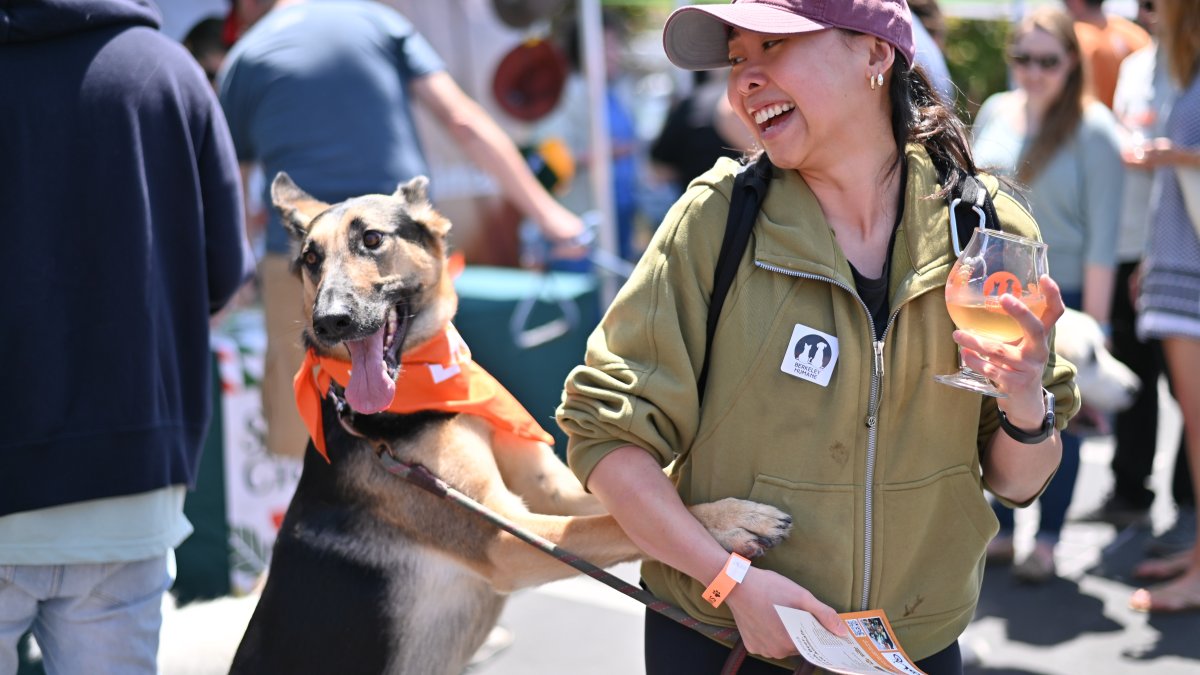 Pints for Paws - Vimarsana News