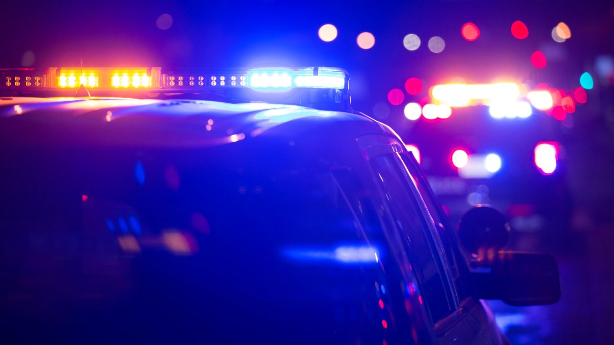11-year-old Nevada boy with autism kept in metal cage at home – NBC Bay Area - Vimarsana News