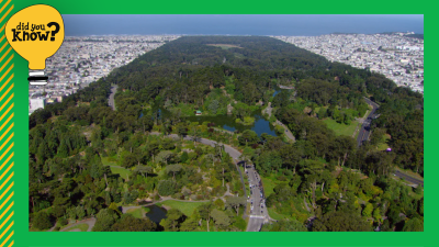 Did You Know? San Francisco's Golden Gate Park was built more than 150 years ago