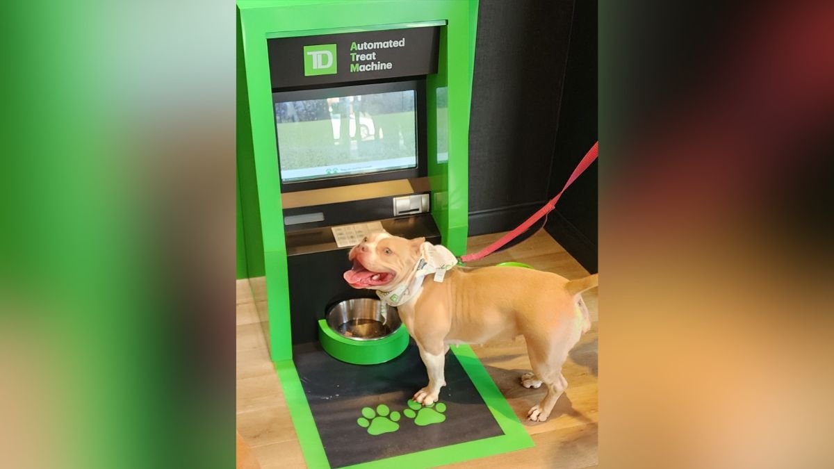 TD Bank debuts first-of-its-kind dog ATM in South Philadelphia – NBC Bay Area - Vimarsana News