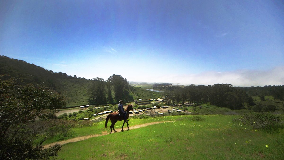 New Report Causes Stampede Of Fear For Coastal Horse Community – Nbc 