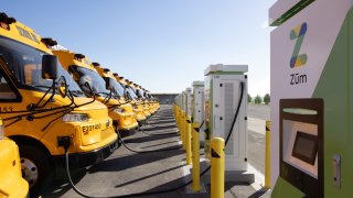 Zum EV school buses at a charging station.