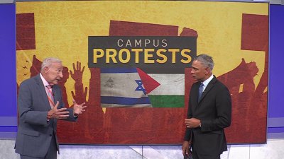 Political analysis: Nationwide university campus protests
