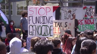Political analysis: Pro-Palestinian campus protests