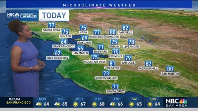 Forecast: A bit cooler today