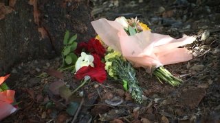 An April crash that left a Pleasanton family of four dead is being investigated by the National Transportation Safety Board.