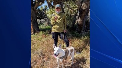‘We were in the right place at the right time': Biologists find missing hiker