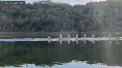 Cal's rowing program will be well-represented at the Paris Olympics